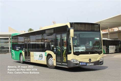 alicante motril|Ônibus Alicante